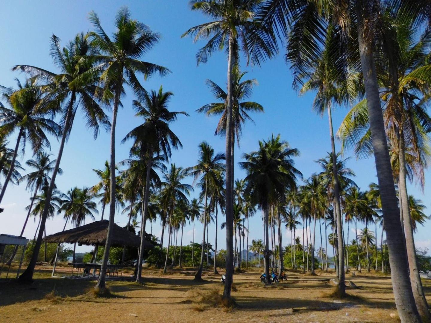 Swiss Bonihouse Koh Yao Yai Hotell Ban Pru Nai Exteriör bild